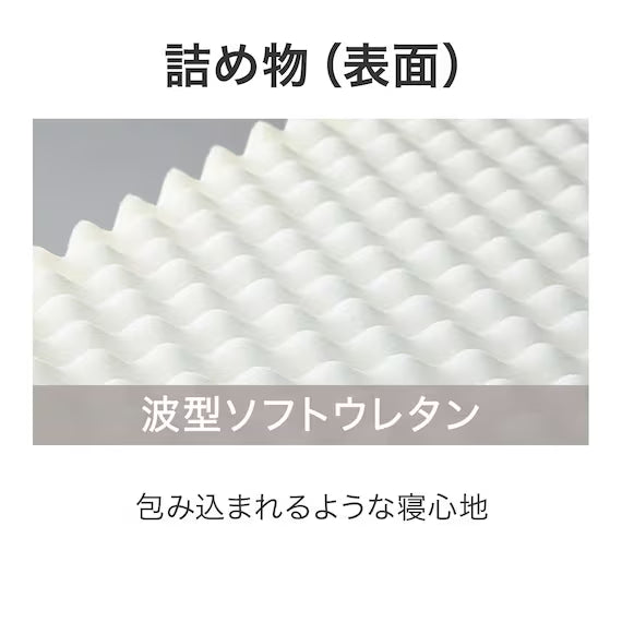 ที่นอนเดี่ยว N-SLEEP PREMIUM P1-02CR VB