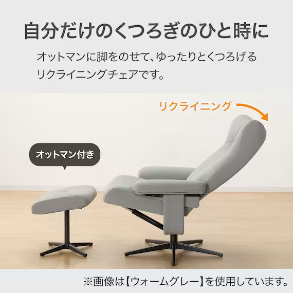 PERSONAL CHAIR PK02 N-SHIELD WGY