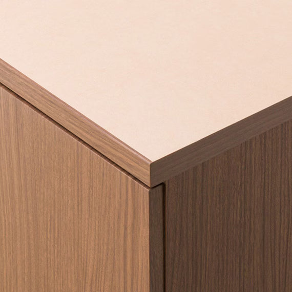 ตู้เสื้อผ้า QUESS T 100WR MBR2