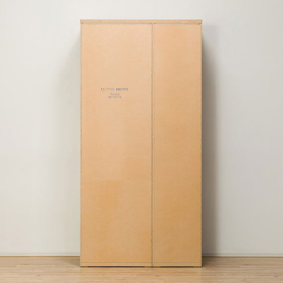 ตู้เสื้อผ้าอเนกประสงค์ QUESS T 100MT MBR2