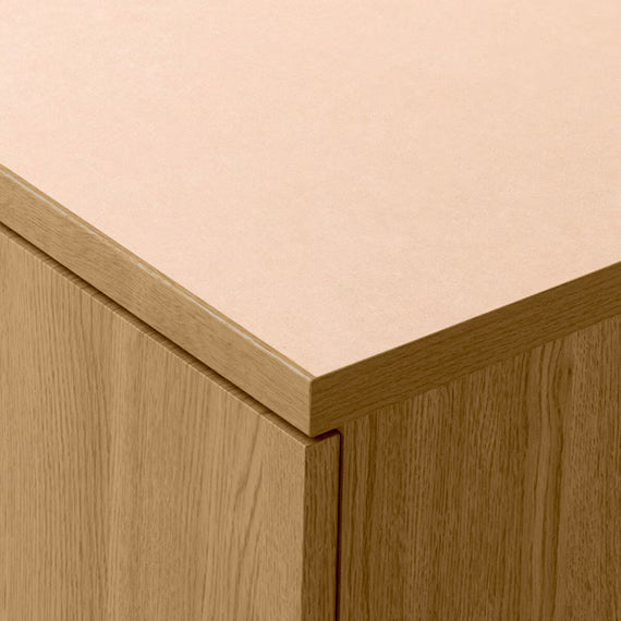 ตู้เสื้อผ้า QUESS T 100WR LBR3