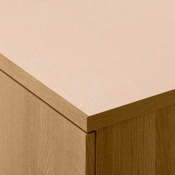 ตู้เสื้อผ้าอเนกประสงค์ QUESS T 100MT LBR3