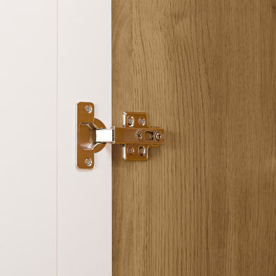 ตู้เสื้อผ้าอเนกประสงค์ QUESS T 100MT LBR3