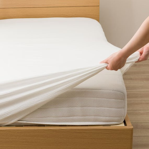 แผ่นติดตั้ง38 ผ้ากอซ WH SZ38 Q