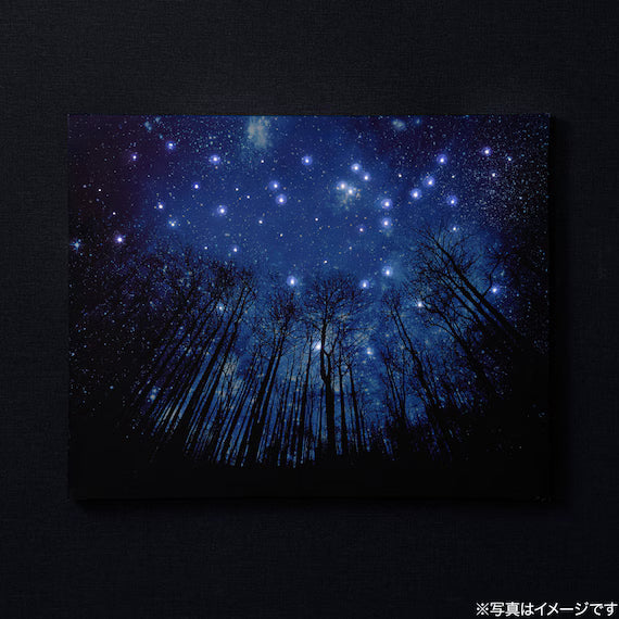 LED CANVAS POSTER ZF01