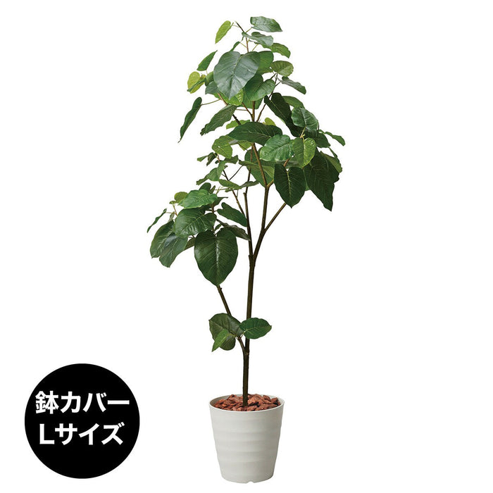 180CM UMNELLATA POT 1512IVL