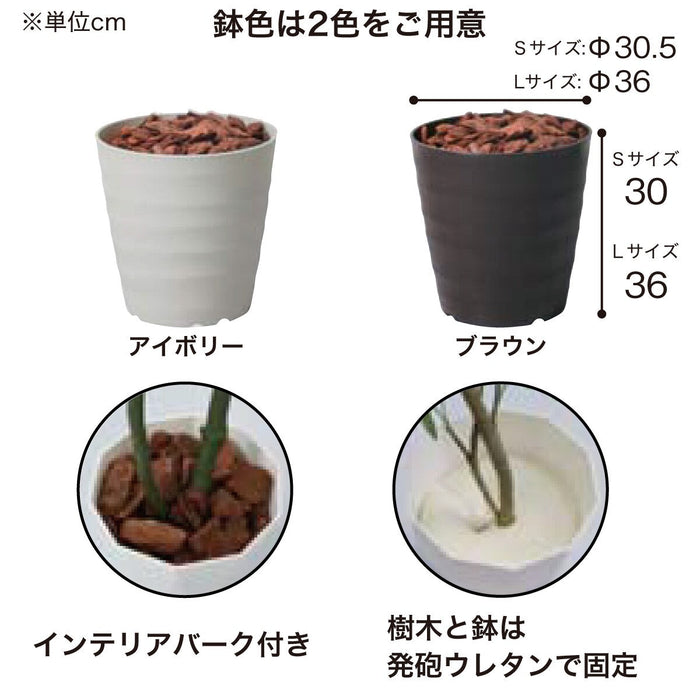 180CM UMNELLATA POT 1512IVL