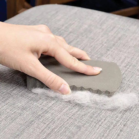 PET HAIR REMOVAL SPONGE
