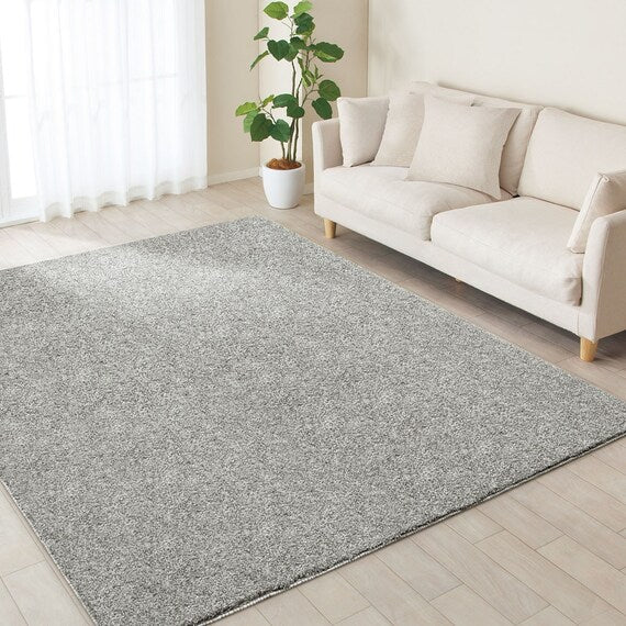 RUG PB SHAGGY GY 200X240