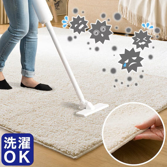 SHAGGY RUG 130X185 BE SR002