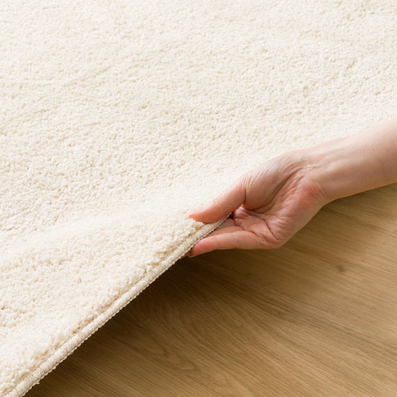 SHAGGY RUG 200X240 BE SR002