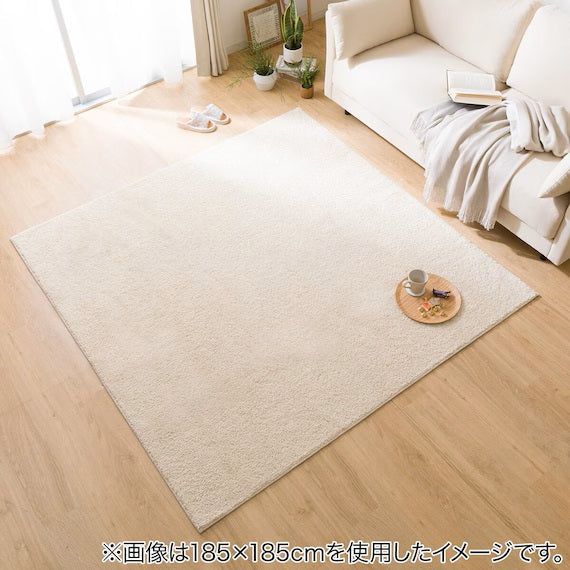SHAGGY RUG 200X240 BE SR002