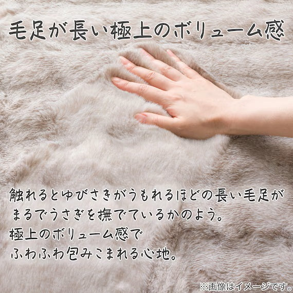 USAGI พรมปูพื้น BB LMO 160X230 ZG11