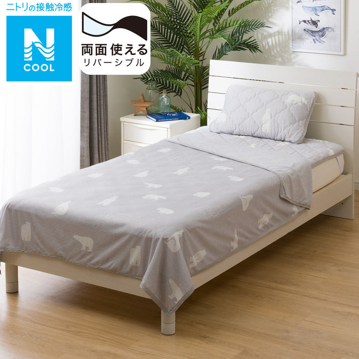 ICY KET N COOL คิว หมีขั้วโลก S2401