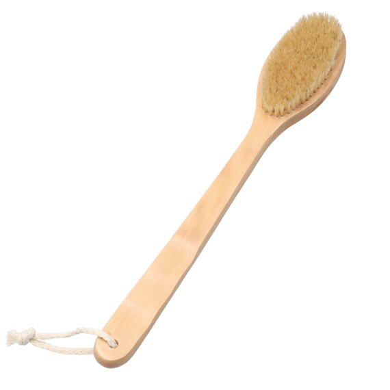 BODY BRUSH WITH WOOD HANDLE WT01