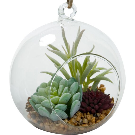 MIXED SUCCULENT IN GLASS 11X10X29