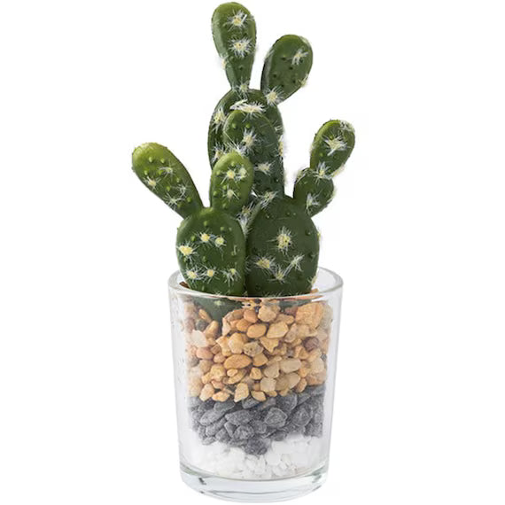 CACTUS IN GLASS POT WITH STONES