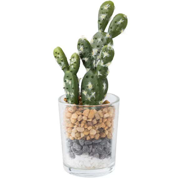 CACTUS IN GLASS POT WITH STONES