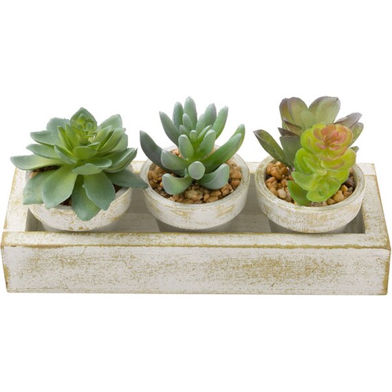 3PCS SUCCULENT WITH TRAY HA34315GN