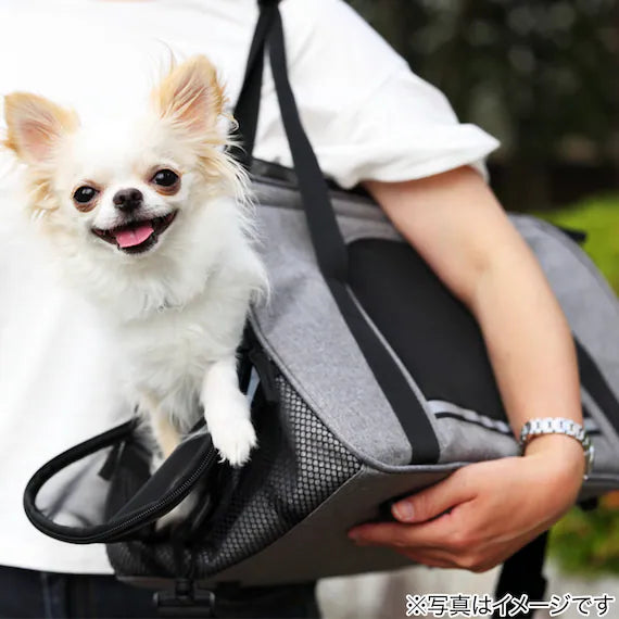 PET CARRY BT-P010