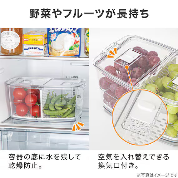 FRIDGE FRESH KEEPER CONTAINER L 4800ML