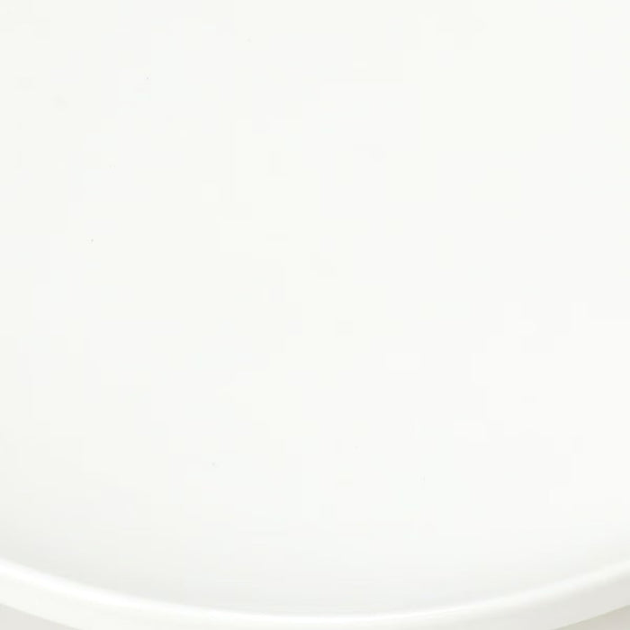 PLATE L 21CM WH A25653W229T114