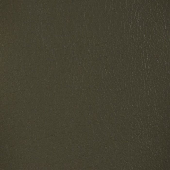 โซฟาไฟฟ้า 2P LS04 NW DGR