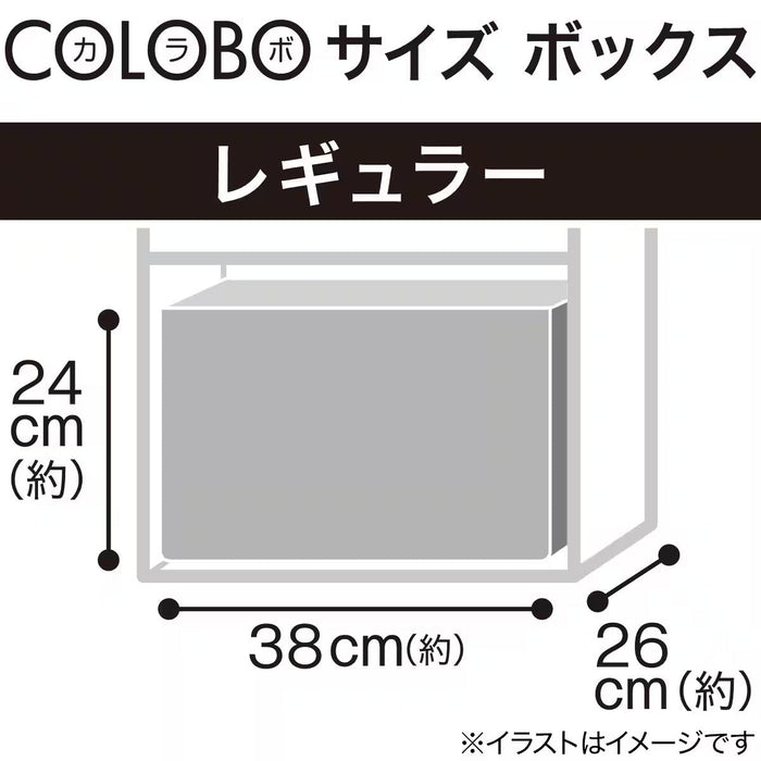 COLLAPSIBLE BASKET BC01 MO