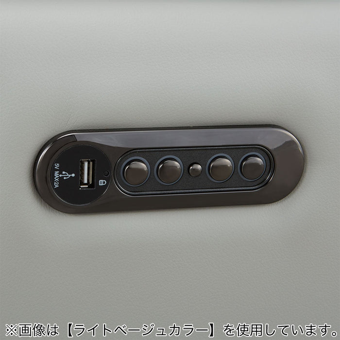 2M ELECTRIC 3P โซฟา LS02 NW BR