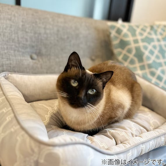 ที่นอนสัตว์เลี้ยง N-COOL WSP M-SQUARE GY S244