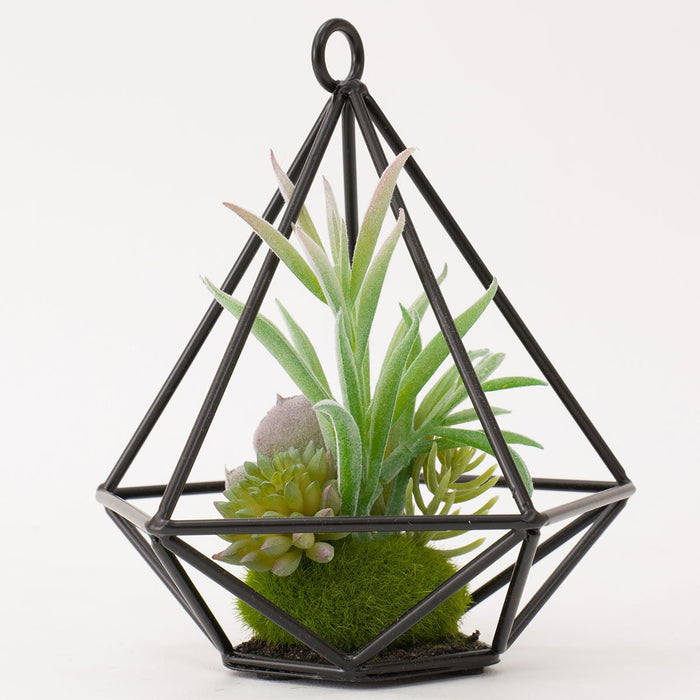 Succulent in Wire Stand HA324830MIX